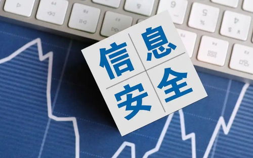 2025年國(guó)家網(wǎng)絡(luò)安全宣傳周 聚焦網(wǎng)絡(luò)與信息安全軟件開(kāi)發(fā)